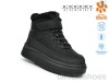 TOM.M 01459A