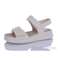 Коронате 181 beige