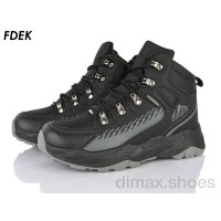 FDEK T9276-2