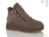 MD-GRESSO-LUNASTEP 26-ZHF7851-15