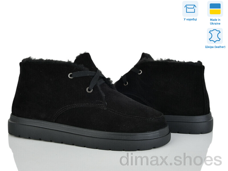 Golden Natali Ліза ч.в.м.