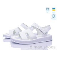 Fat Fox-Tamei 2122-32