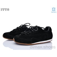 ITTS SV268-1