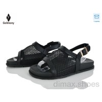 Gollmony V12-1 black