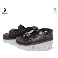 Gollmony ST-JZ15 brown