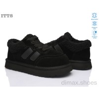 ITTS Q295-1