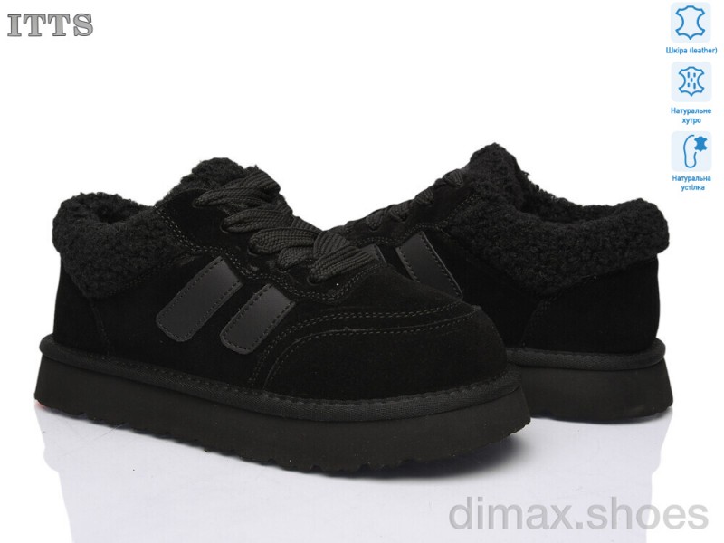 ITTS Q295-1