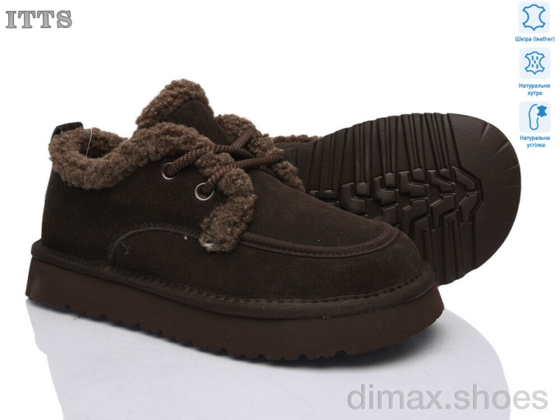 ITTS 5262-41