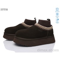 ITTS F282-41