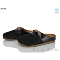 PTPT R317-1