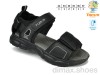 TOM.M 11662A