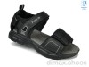 TOM.M 11662A