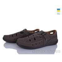 Paolla Sunshine Л10 шоколад