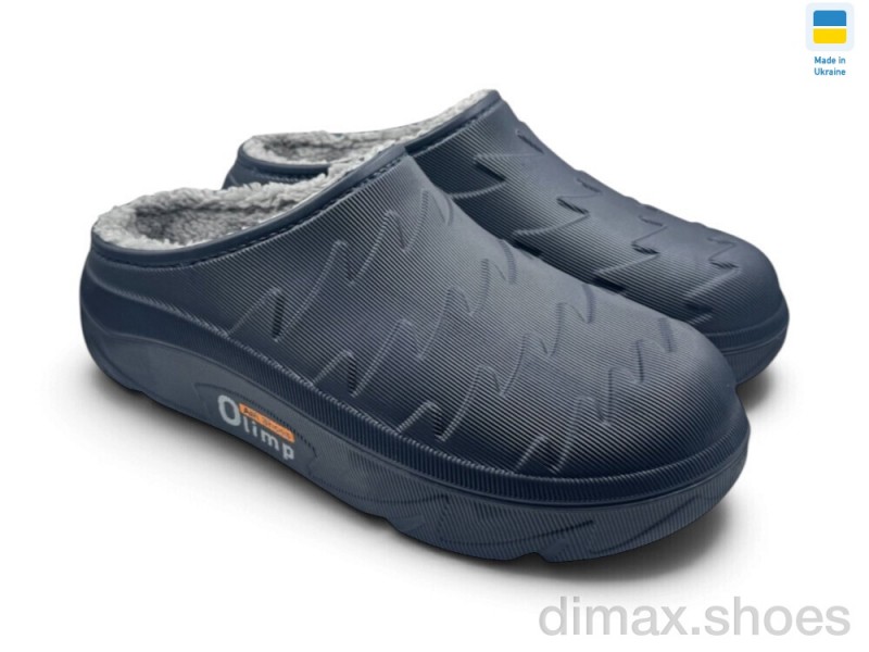 Rai shoes СМ22 синій