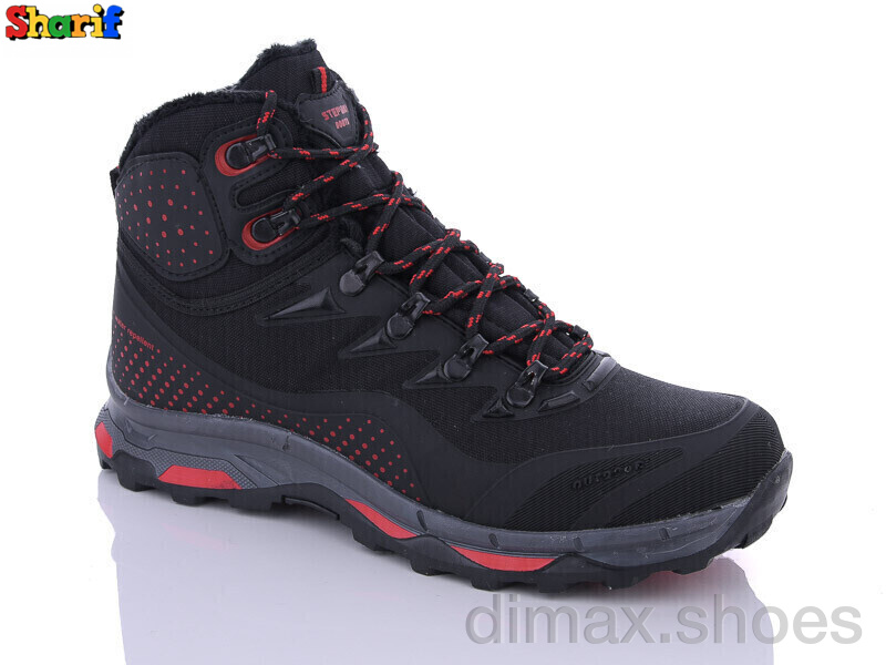 Sharif 8035-2