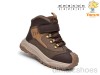 TOM.M 11764C