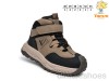 TOM.M 11765H