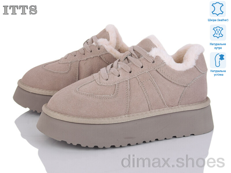 ITTS F281-13