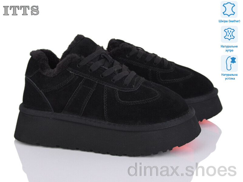 ITTS F281-1