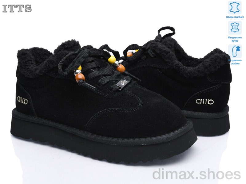 ITTS Q306-1