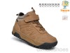 TOM.M 11779C