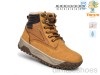 TOM.M 11781B