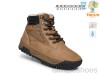 TOM.M 11781C