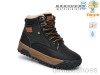TOM.M 11781A