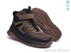 TOM.M AB60147C