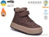 TOM.M 68184B