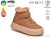 TOM.M 68184C