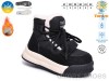 TOM.M T65223C