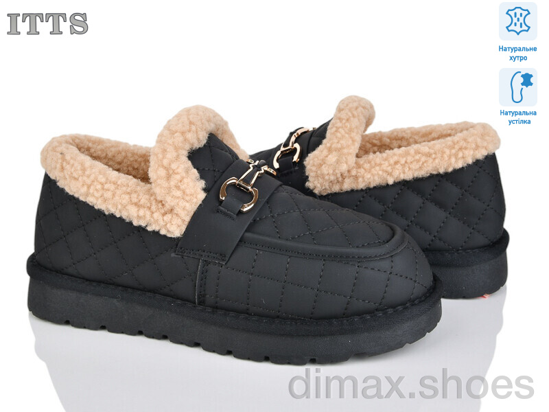 ITTS 335-1