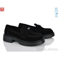 PLPS R166-2