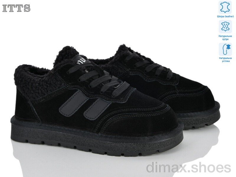 ITTS SD253-1