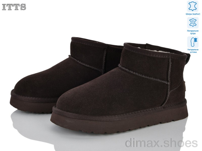 ITTS 5755-41