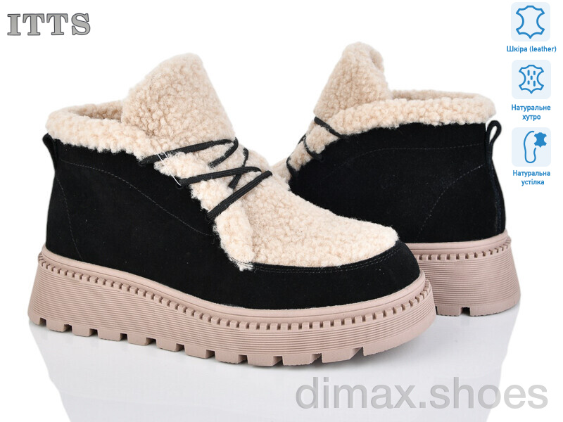 ITTS 8219B