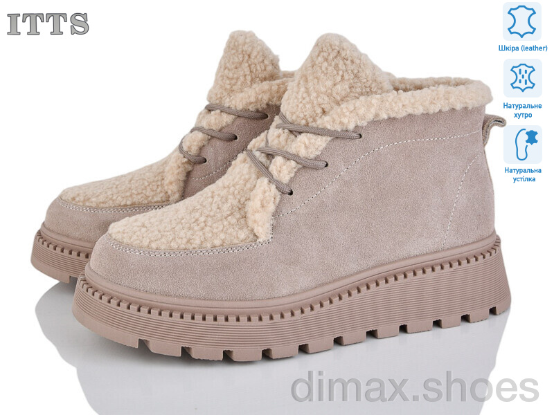 ITTS 8219D