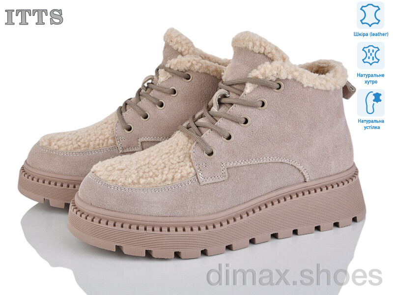 ITTS 8216D