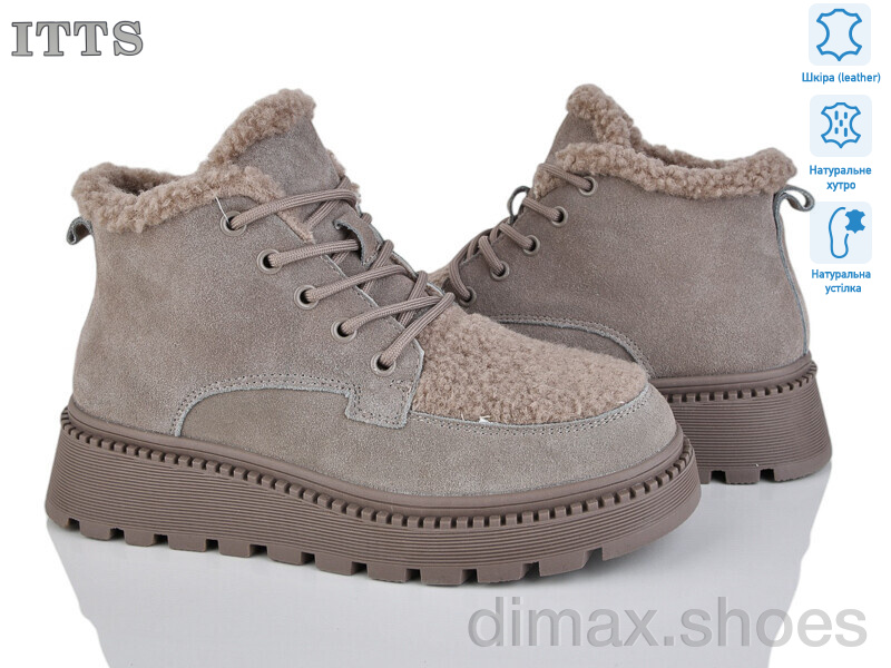 ITTS 8216C