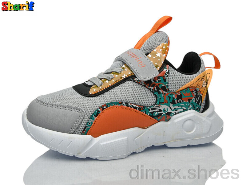 Sharif 1113-2