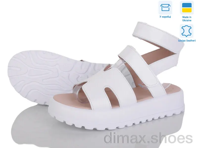 Ailinda 316-8
